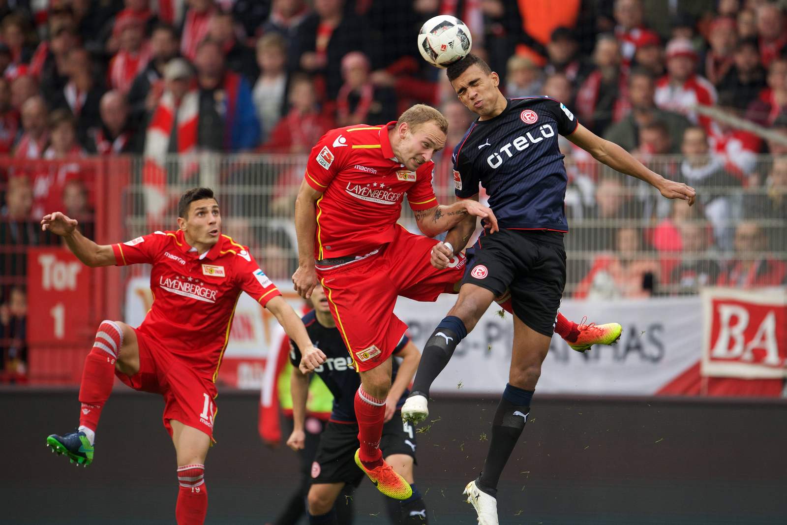 fortuna wetten berlin fortuna wetten berlin