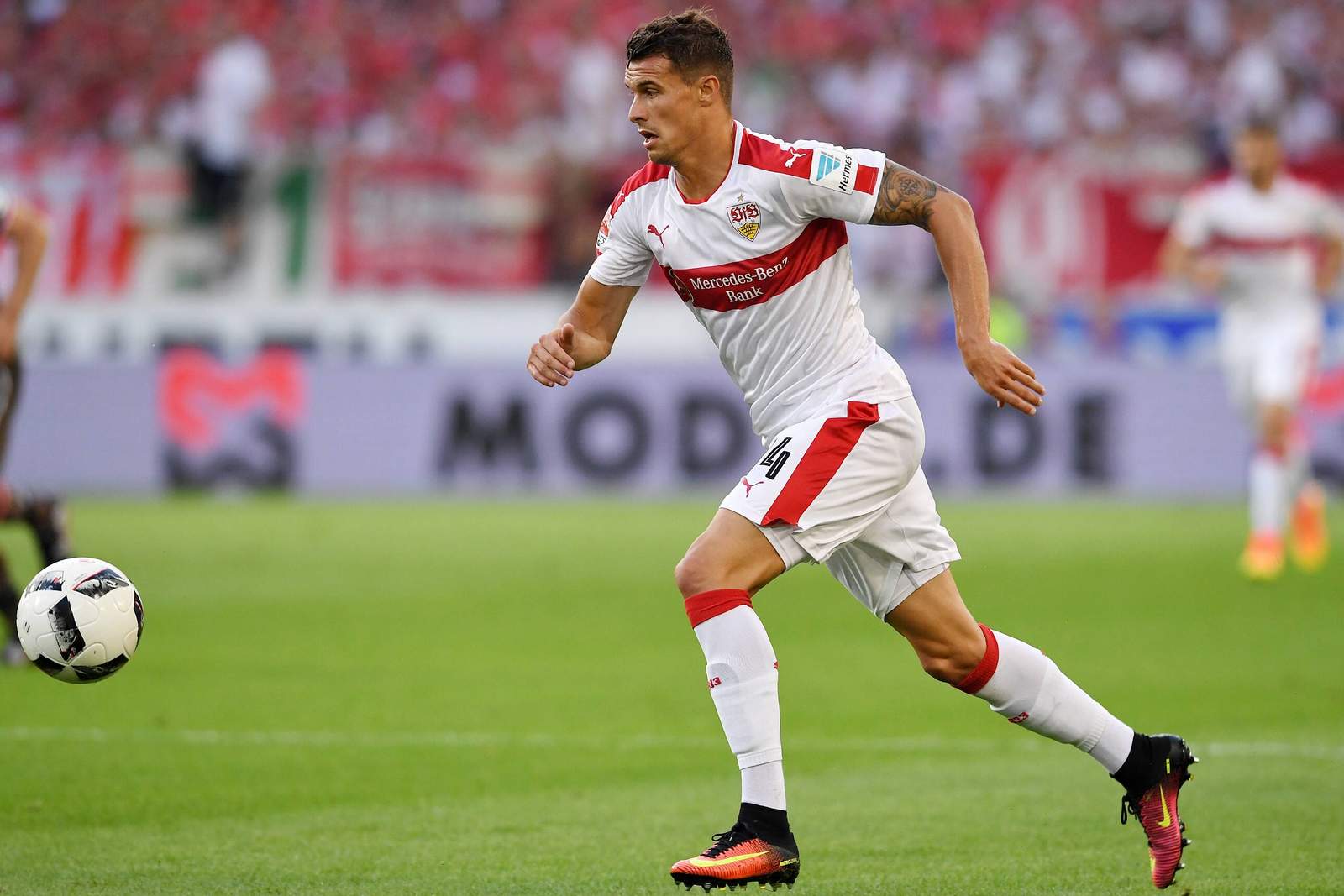 Dynamo Dresden Philip Heise verpflichtet