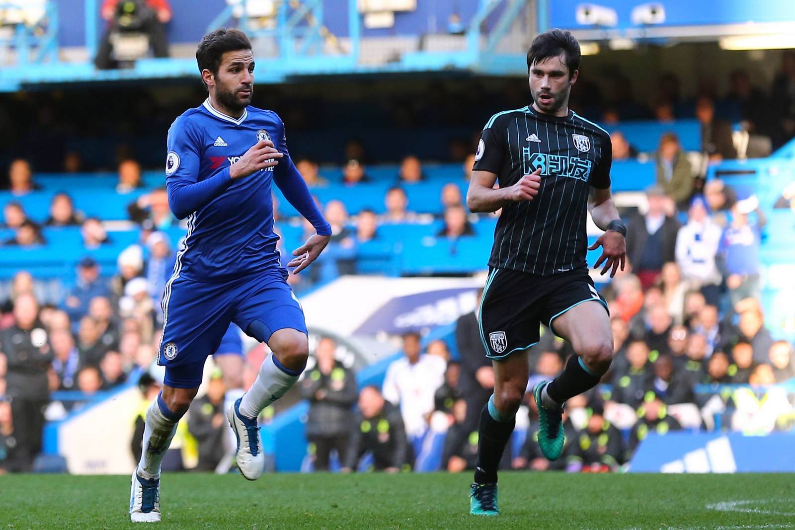 cesc fabgregas, claudio Yacob, fc chelsea, west brom, premier league Cesc Fabregas im Duell mit Claudio Yacob