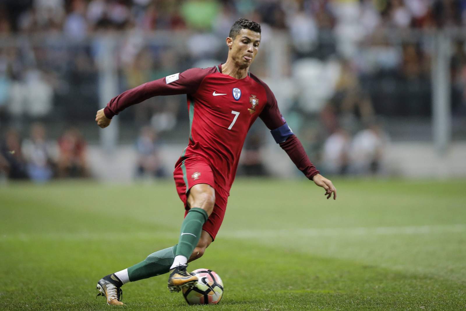 Portugal Gegen Holland Portugal Gegen Holland