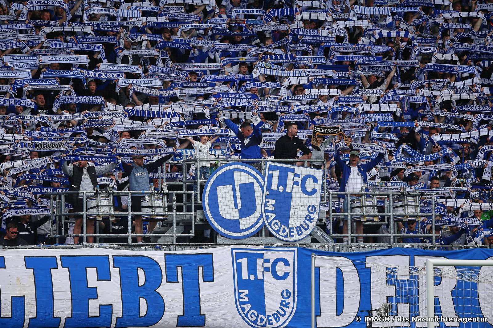 1. FC Magdeburg