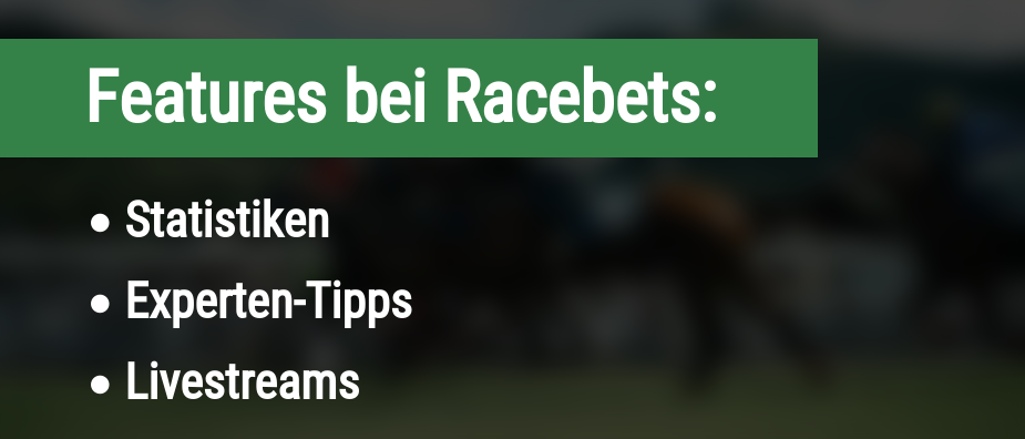 Features für Wetten bei Racebets