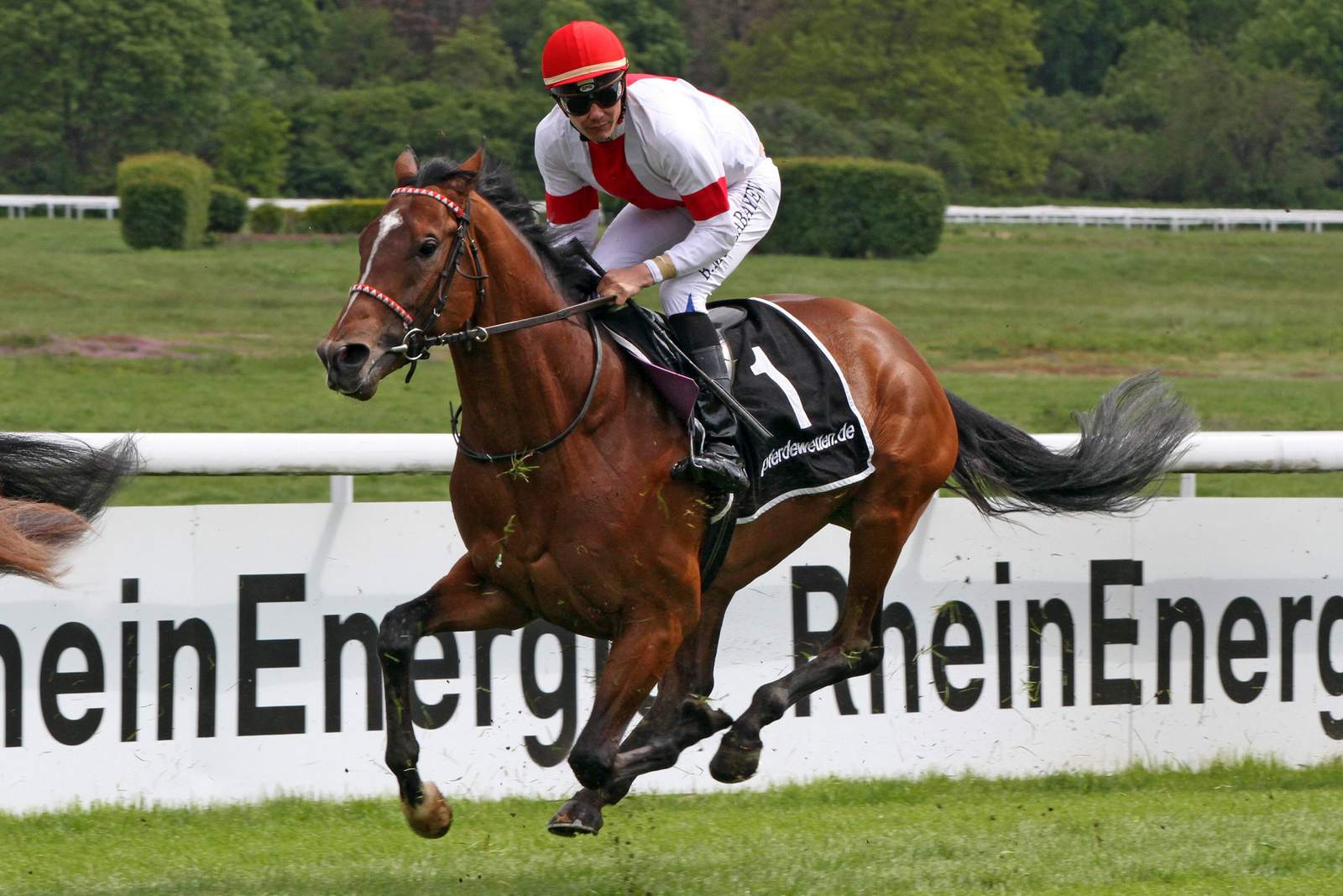 Deutsches Derby Tipp, Wetten & Quoten (2019)