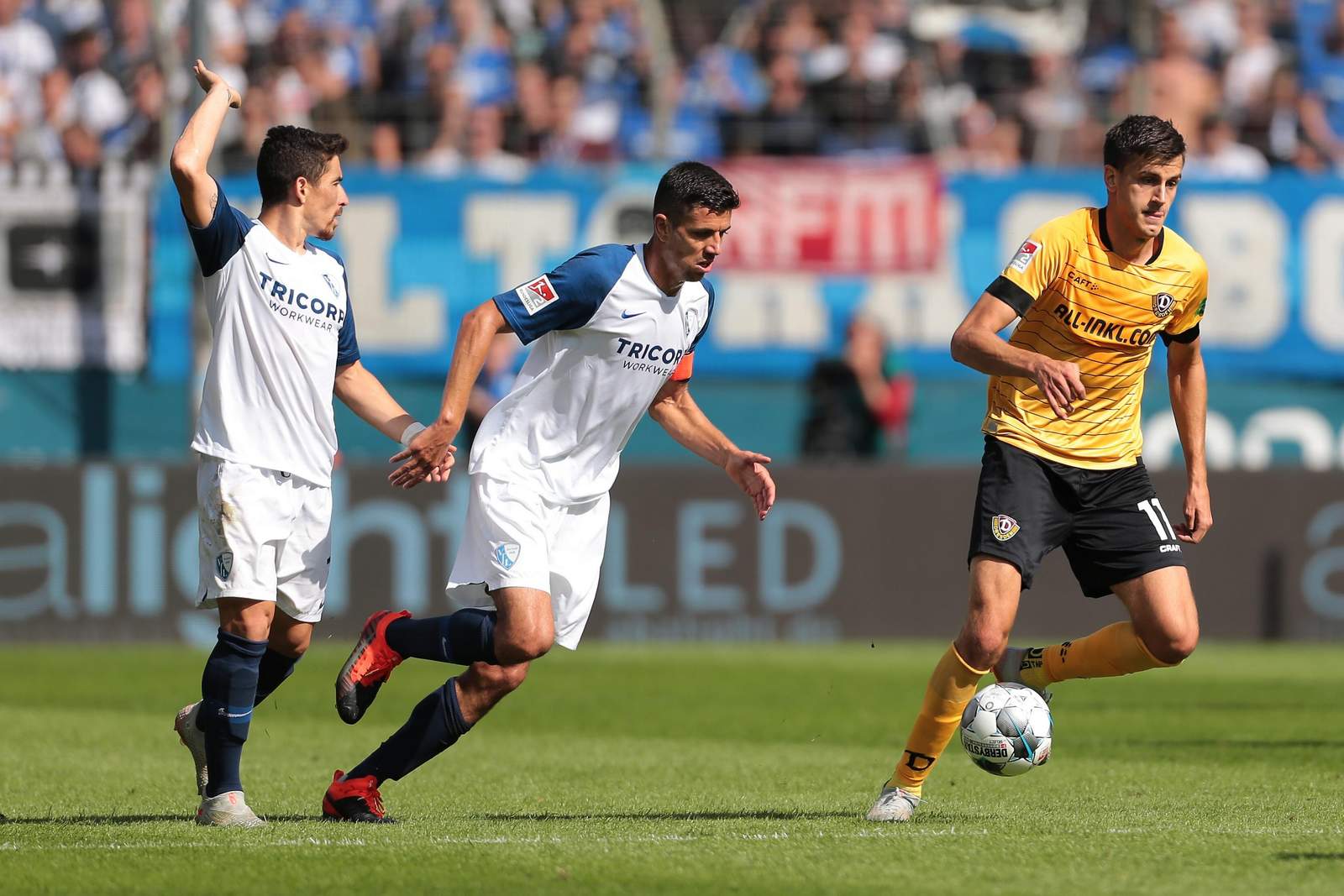 2. bundesliga, vfl bochum, anthony losilla Anthony Losilla (m.) gegen Dresden.