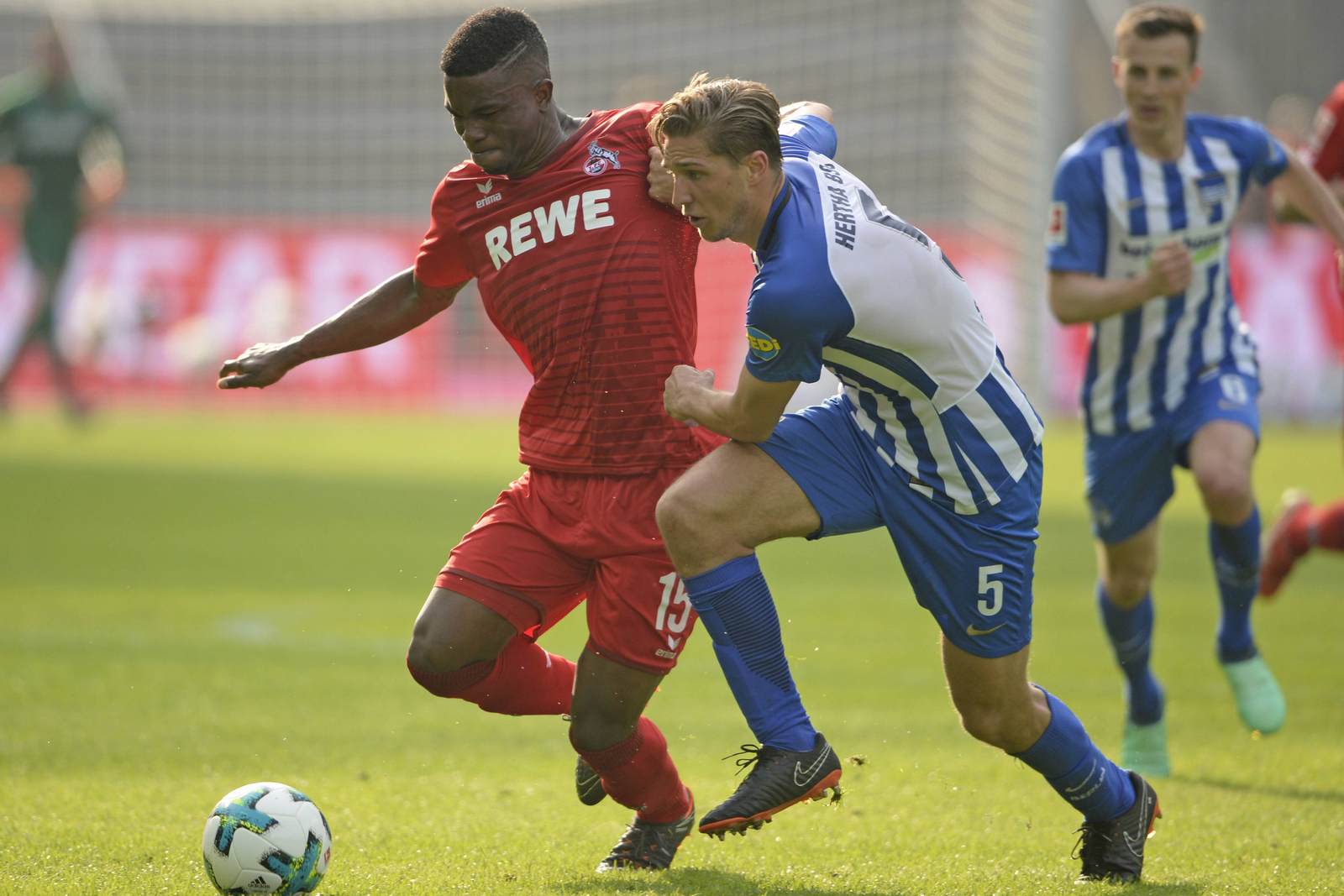 jhon cordoba, niklas stark, hertha bsc berlin, 1 fc köln, bundesliga Jhon Cordoba im Zweikampf mit Niklas Stark. Jetzt auf Köln vs Hertha wetten