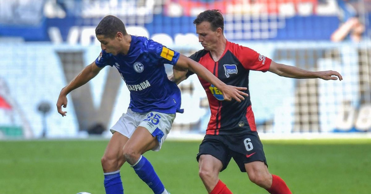 Hertha Schalke Tipp Hertha Schalke Tipp