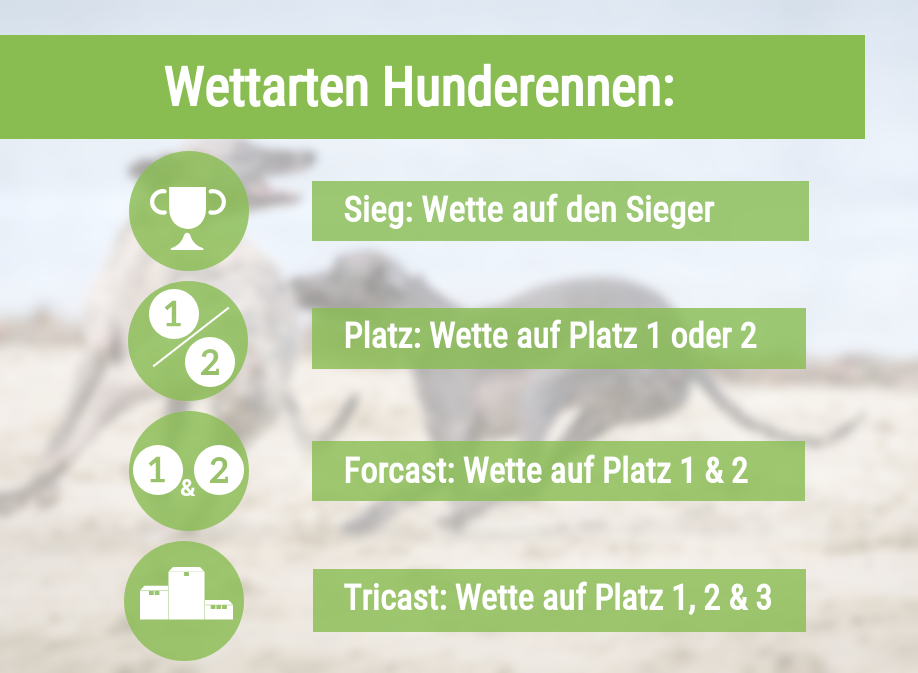 Wettarten bei Hunderennen