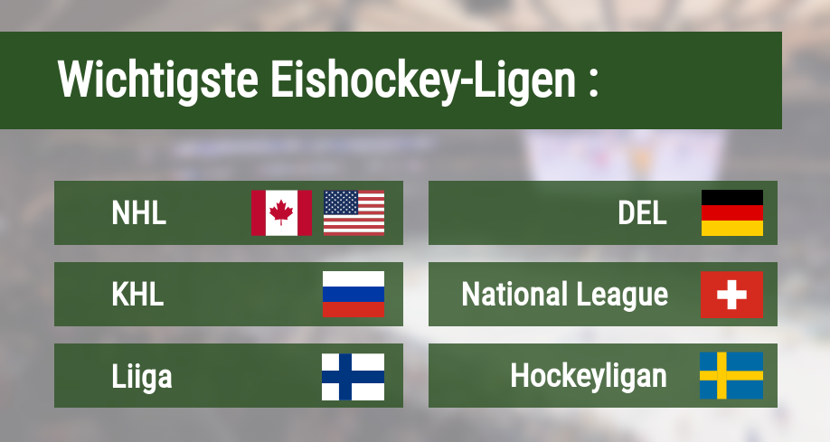 Wichtigste Eishockey Ligen