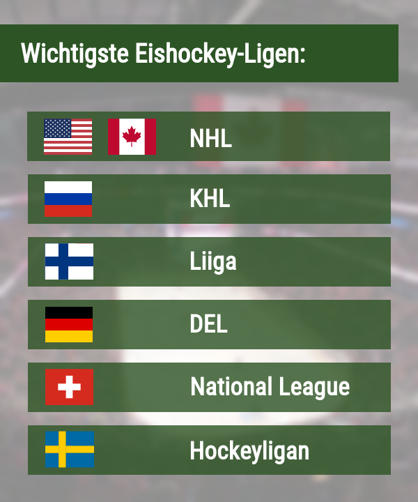 Wichtigste Eishockey Ligen