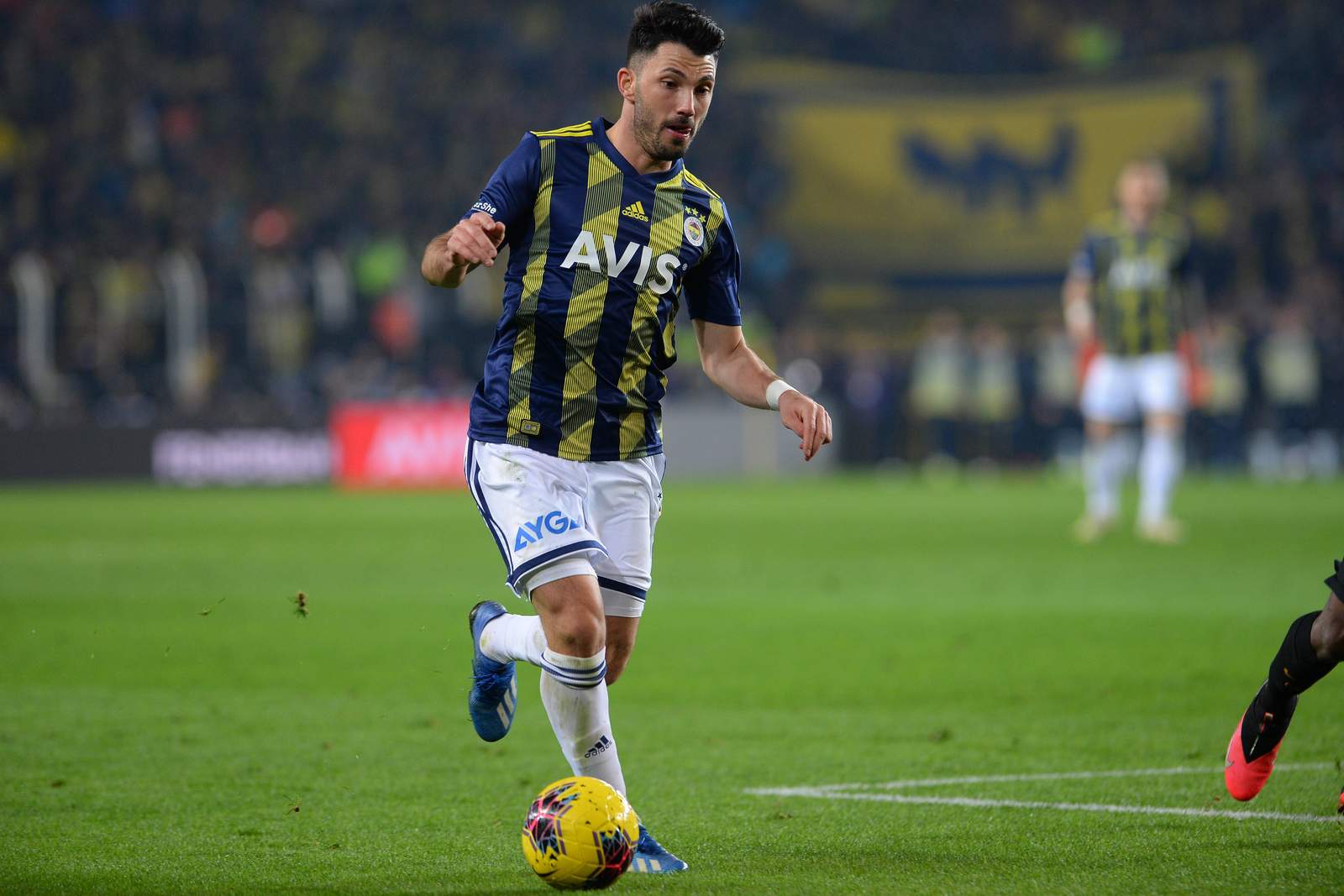 tolgay arslan, fenerbahce Tolgay Arslan im Fenerbahce-Dress.