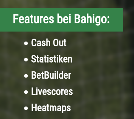 Features bei Bahigo